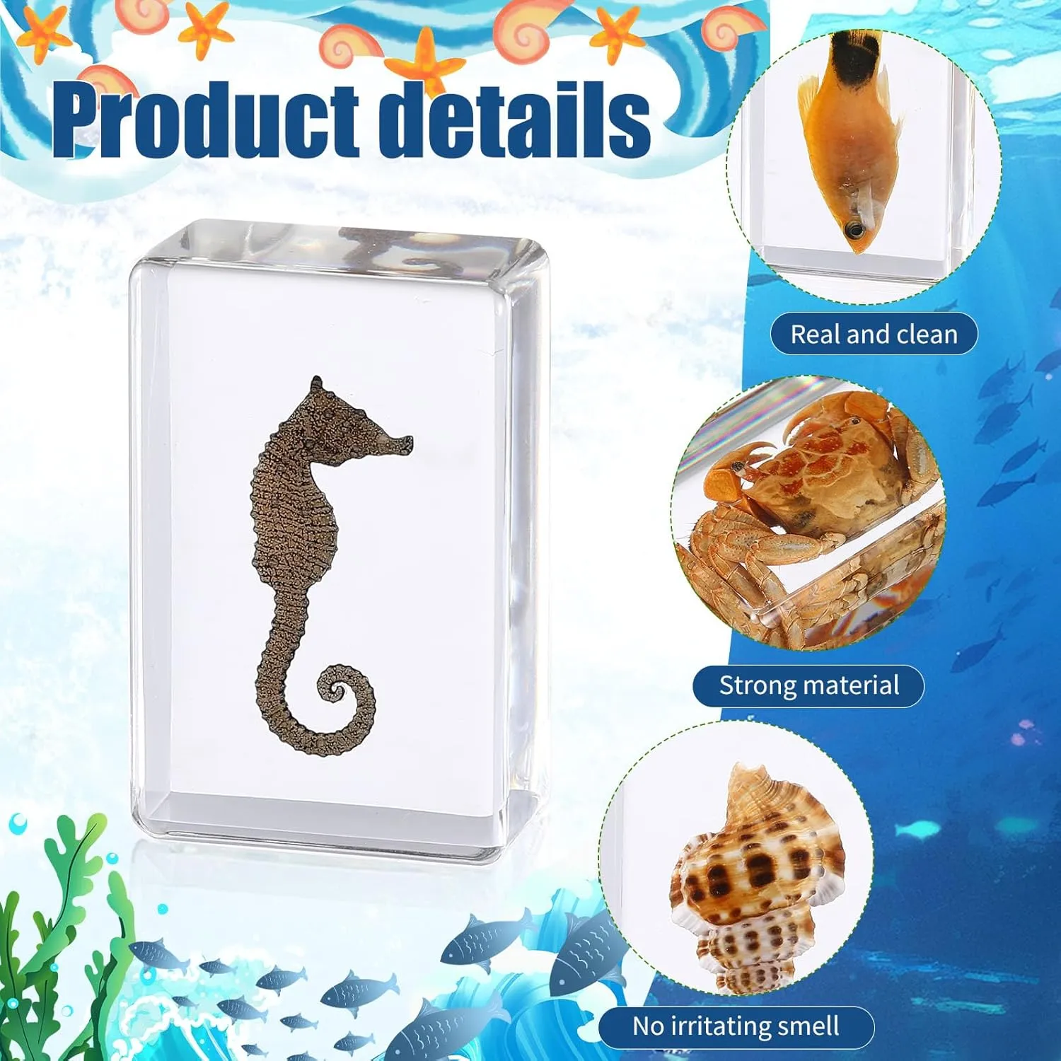 12 Pcs Ocean Animal Insect in Resin Specimen Bugs Collection Paperweights，12 Styles Real Bug Specimen Bug Kit Preserved in Resin for Scientific Educational Display Supplies (Ocean)