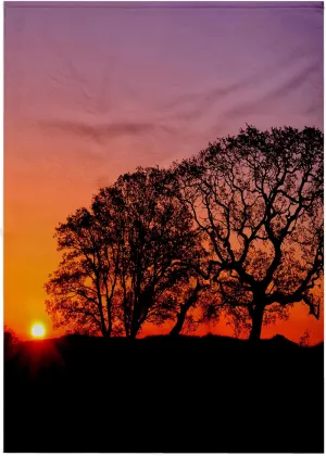 3dRose 22x30 Bath Hand Pool Towel - California, Coast Range Mountains, Sunrise Silhouettes Oak Trees. Sunrises