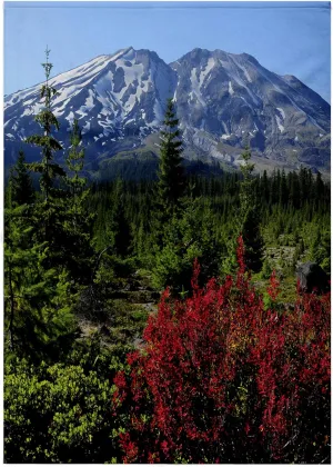 3dRose 22x30 Bath Hand Pool Towel - Mountain, Mt St Helen Wilderness, Washington, USA - US48 MHE0006 - Michel Hersen Mountains