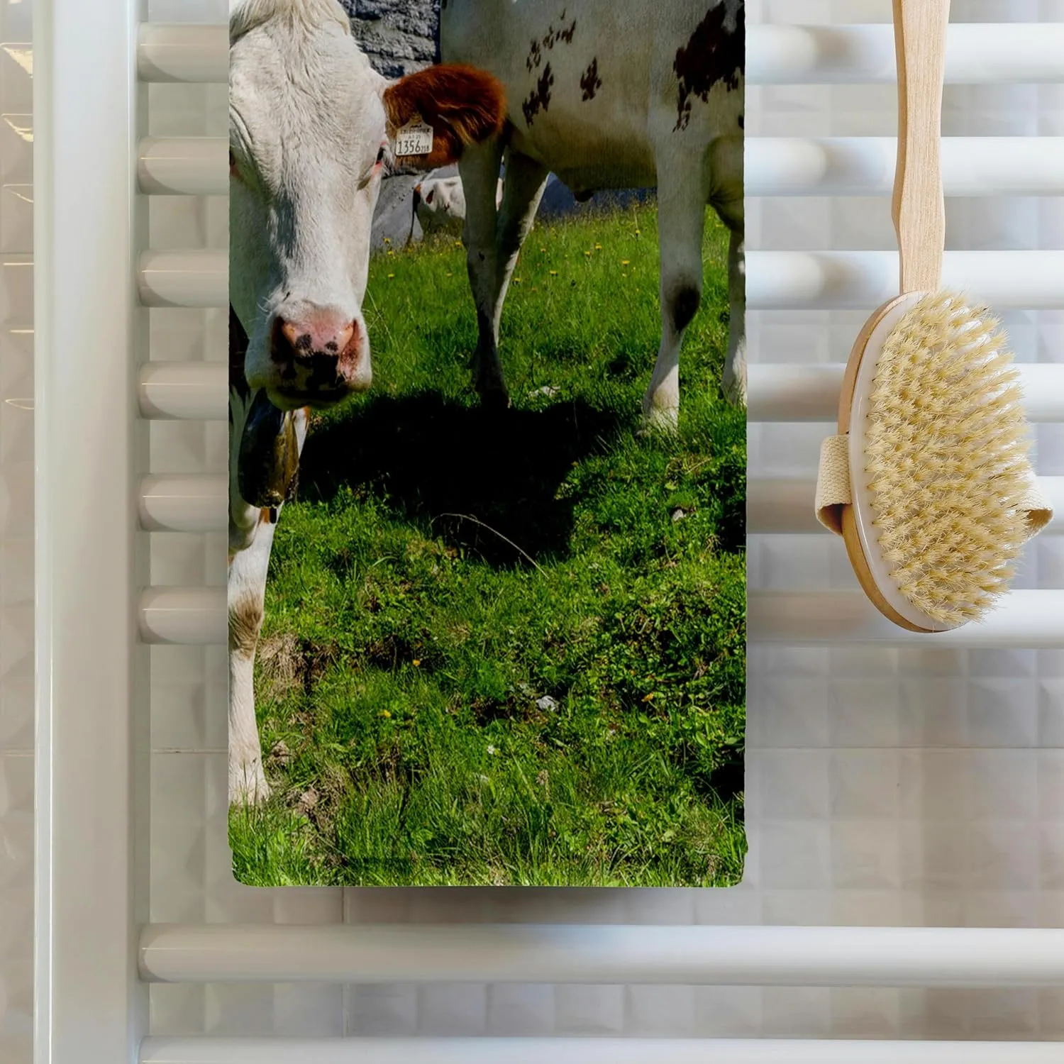 3dRose Cattle on high Pasture in Karwendel Mountain Range, Tyrol, Austria - Towels (twl-188854-2)