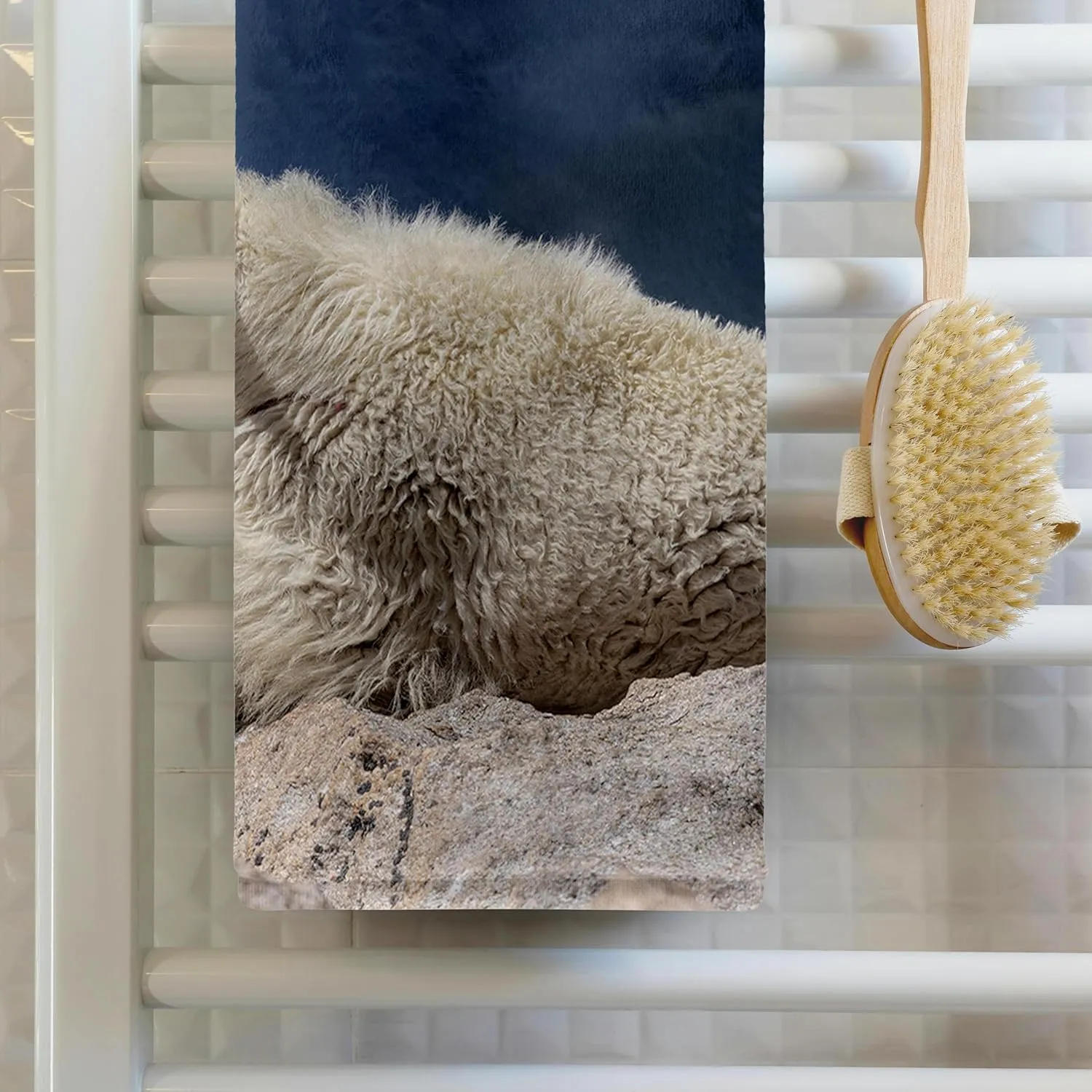3dRose, Rocky Mountain Goat on Ledge, Mount Evans Wilderness Area, Colorado, 22x30 Bath Hand Pool Towel