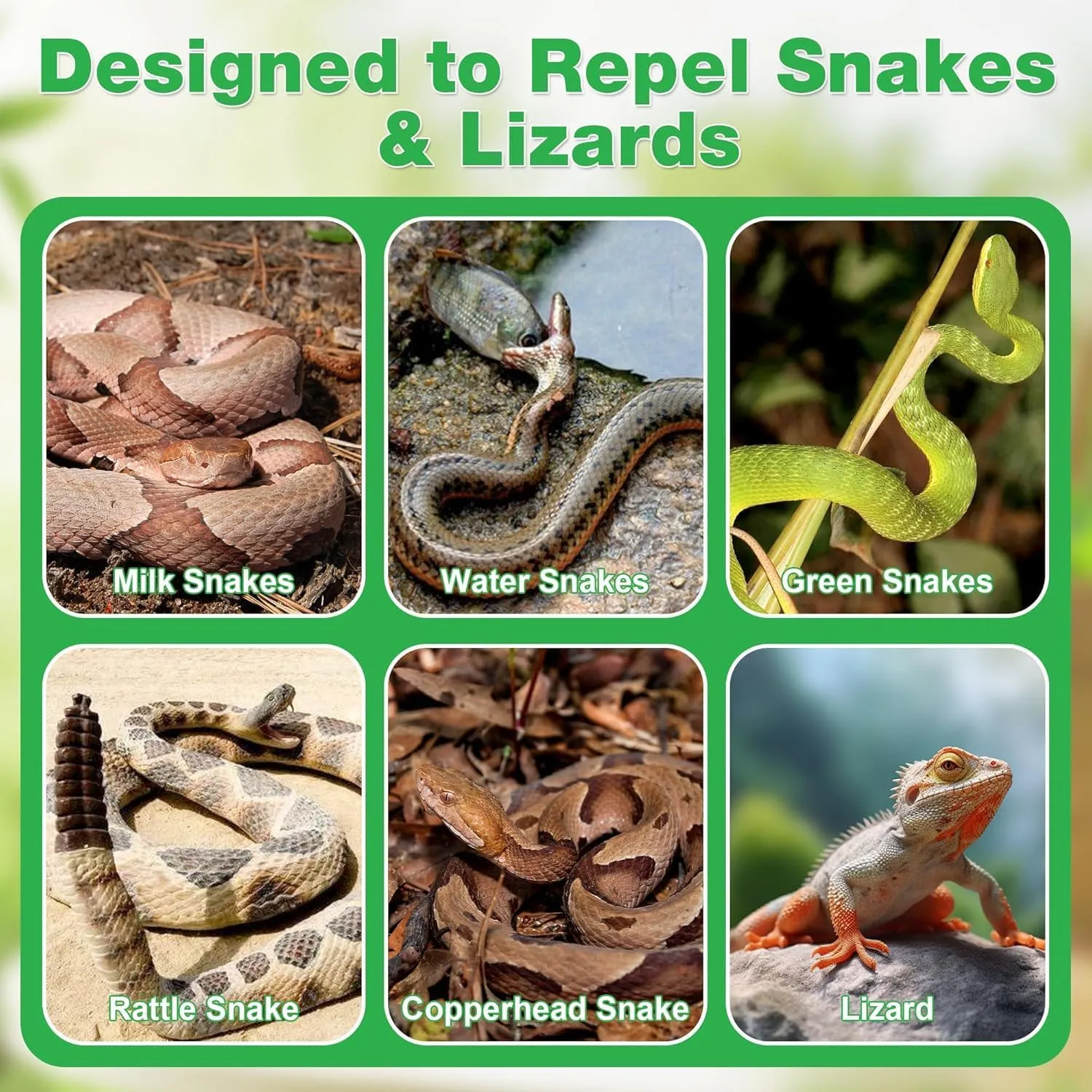 48Pack Powerful Snake Repellent for Outdoor Use, Natural Keep Snake Away Deterrent with Long-Lasting Protection for Garden Lawn Yard Camping Fishing, Safe for Kids & Pets, Waterproof