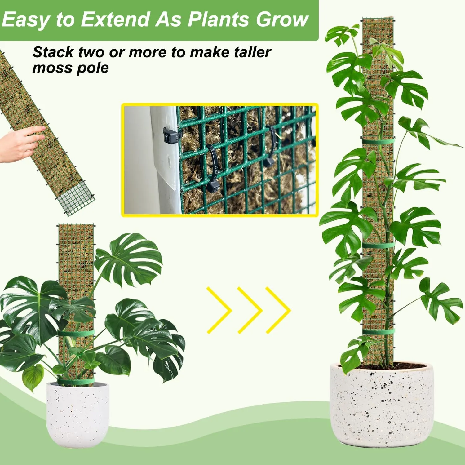 60"/40"/24" Metal Moss Pole, D Shape Sphagnum Moss Pole, Moss Poles for Climbing Plants, Moss Pole for Plants Monstera, Indoor Climbing Plants, Moss Poles Kit (2 Each of 60" 40" 24")