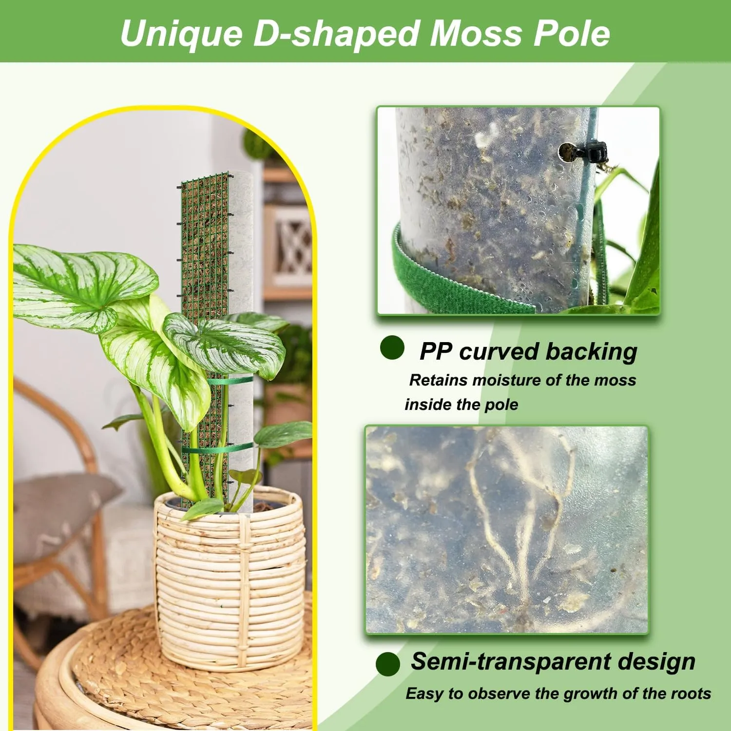 60"/40"/24" Metal Moss Pole, D Shape Sphagnum Moss Pole, Moss Poles for Climbing Plants, Moss Pole for Plants Monstera, Indoor Climbing Plants, Moss Poles Kit (2 Each of 60" 40" 24")