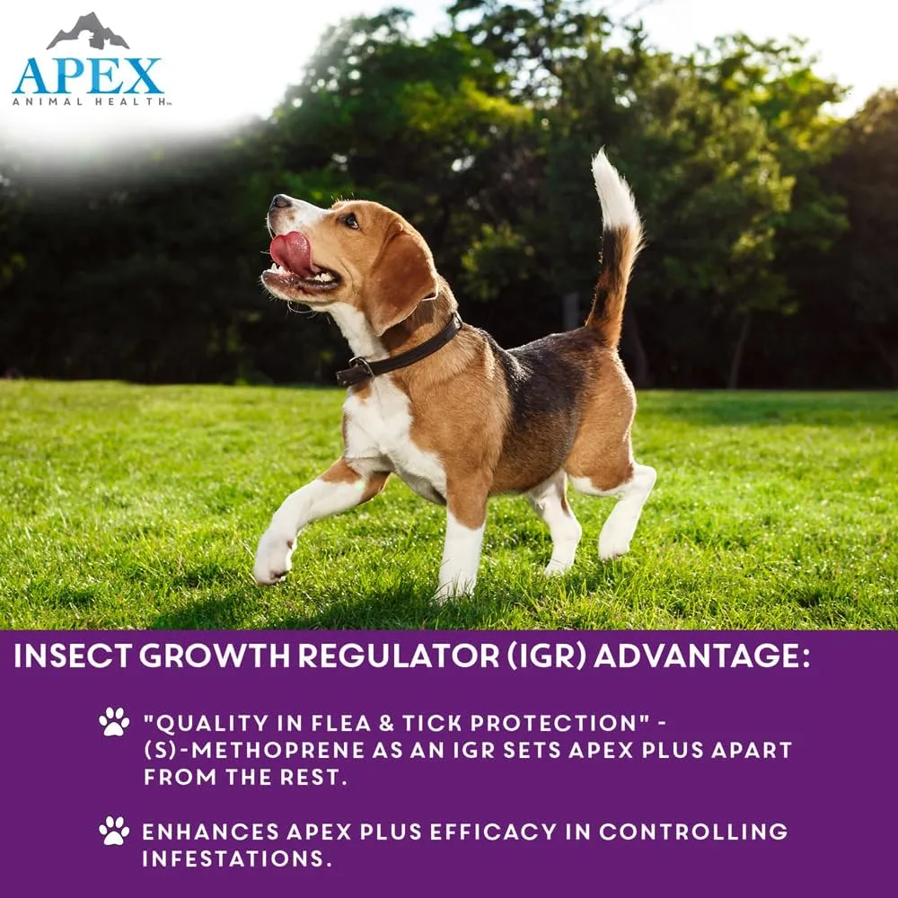 Apex Plus Flea and Tick Prevention for Dogs | Large (45-88 lbs) | 6-Month Supply | Dog Flea and Tick Treatment | 24-Hour Activation, Waterproof, 30-Day Protection