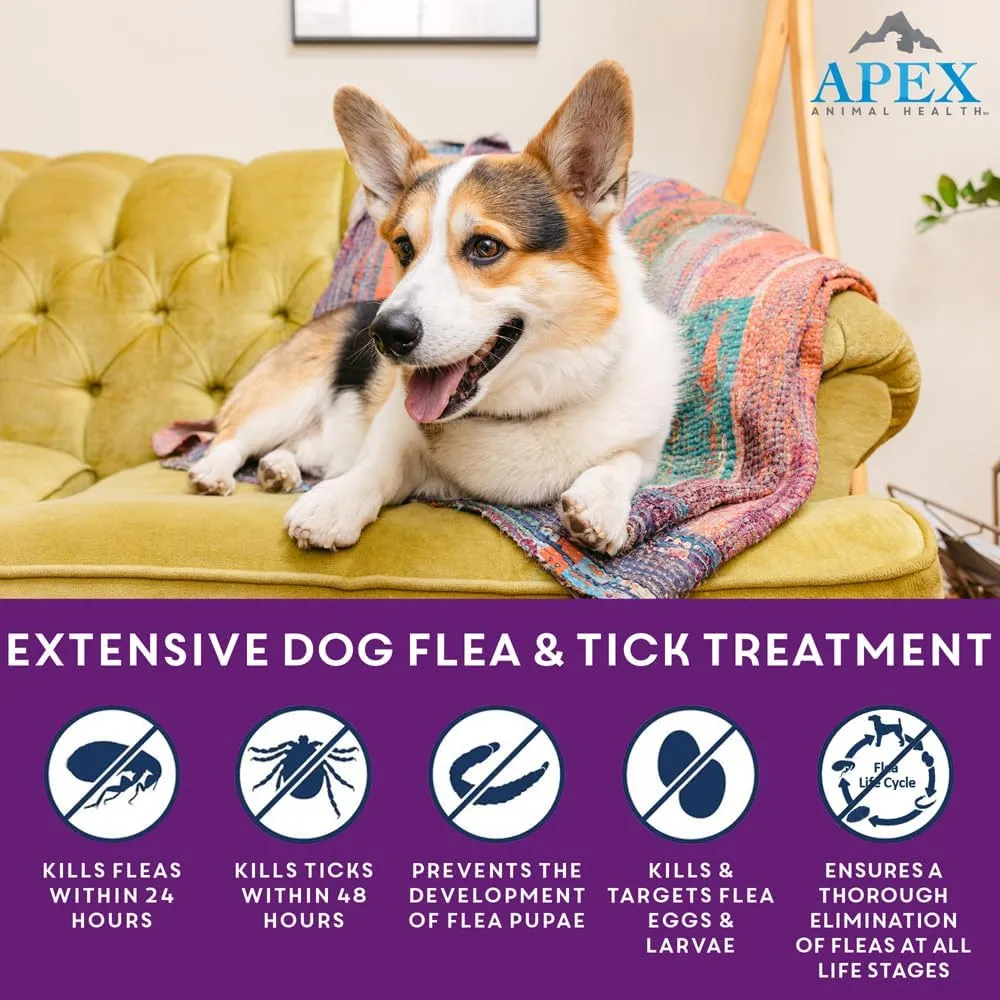 Apex Plus Flea and Tick Prevention for Dogs | Large (45-88 lbs) | 6-Month Supply | Dog Flea and Tick Treatment | 24-Hour Activation, Waterproof, 30-Day Protection