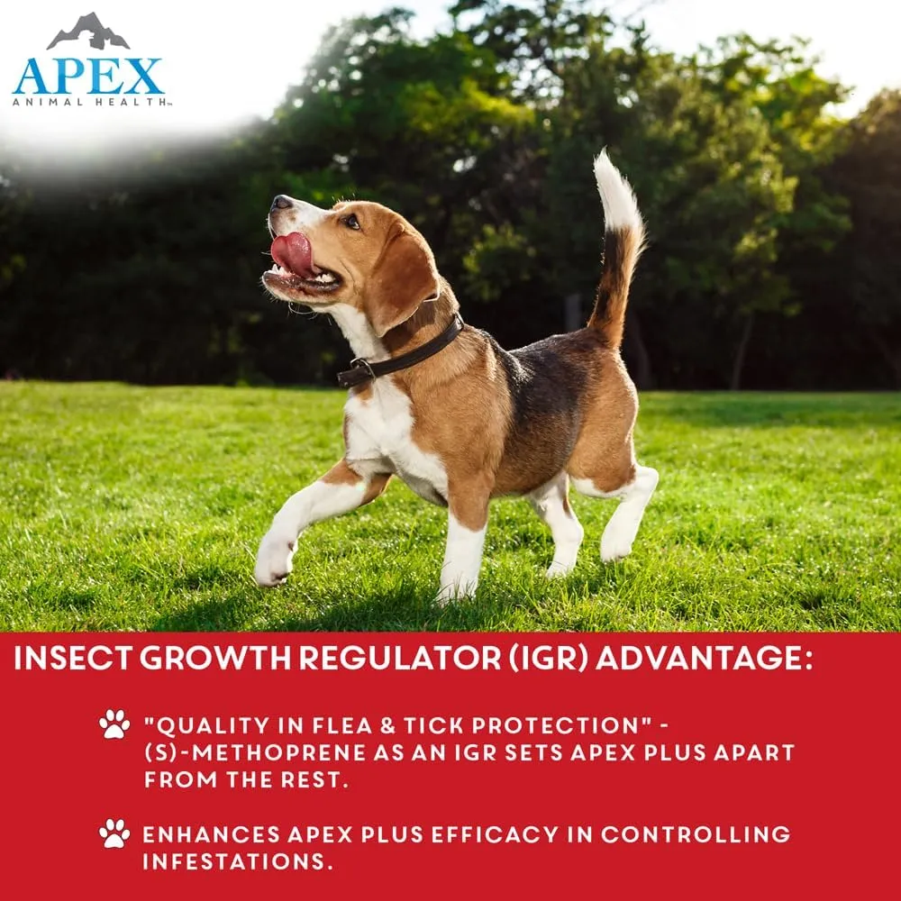 Apex Plus Flea and Tick Prevention for Dogs | X-Large (89-132 lbs) | 6-Month Supply | Dog Flea and Tick Treatment | 24-Hour Activation, Waterproof, 30-Day Protection