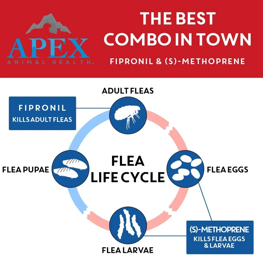 Apex Plus Flea and Tick Prevention for Dogs | X-Large (89-132 lbs) | 6-Month Supply | Dog Flea and Tick Treatment | 24-Hour Activation, Waterproof, 30-Day Protection