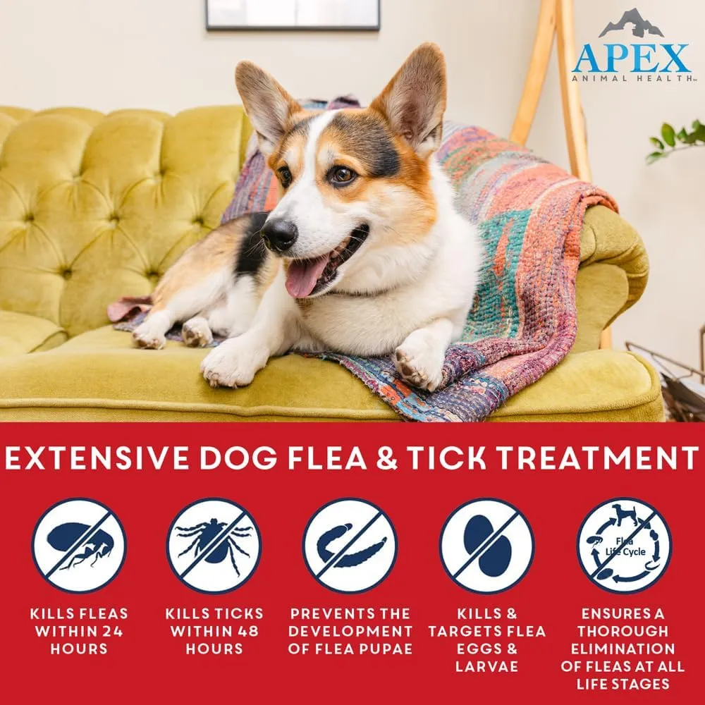 Apex Plus Flea and Tick Prevention for Dogs | X-Large (89-132 lbs) | 6-Month Supply | Dog Flea and Tick Treatment | 24-Hour Activation, Waterproof, 30-Day Protection
