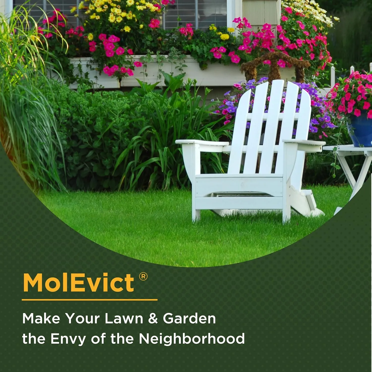 Baar Products - MolEvict Lawn Mole Castor Oil - Mole & Vole Repellent - Lawn & Garden Protection - Up to 100,000 Sq. Ft. of Coverage - Safe for Use Around House & Plants - 5 Gallons