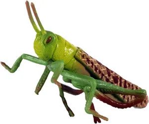 BESTonZON Plastic Grasshoppers Toys, Plastic Grasshoppers Insect Figures Toys, Realistic Animal Figurines Insect Toy, Plastic Insect Plastic Green Grasshoppers Toys Early Educational Toys for Kids