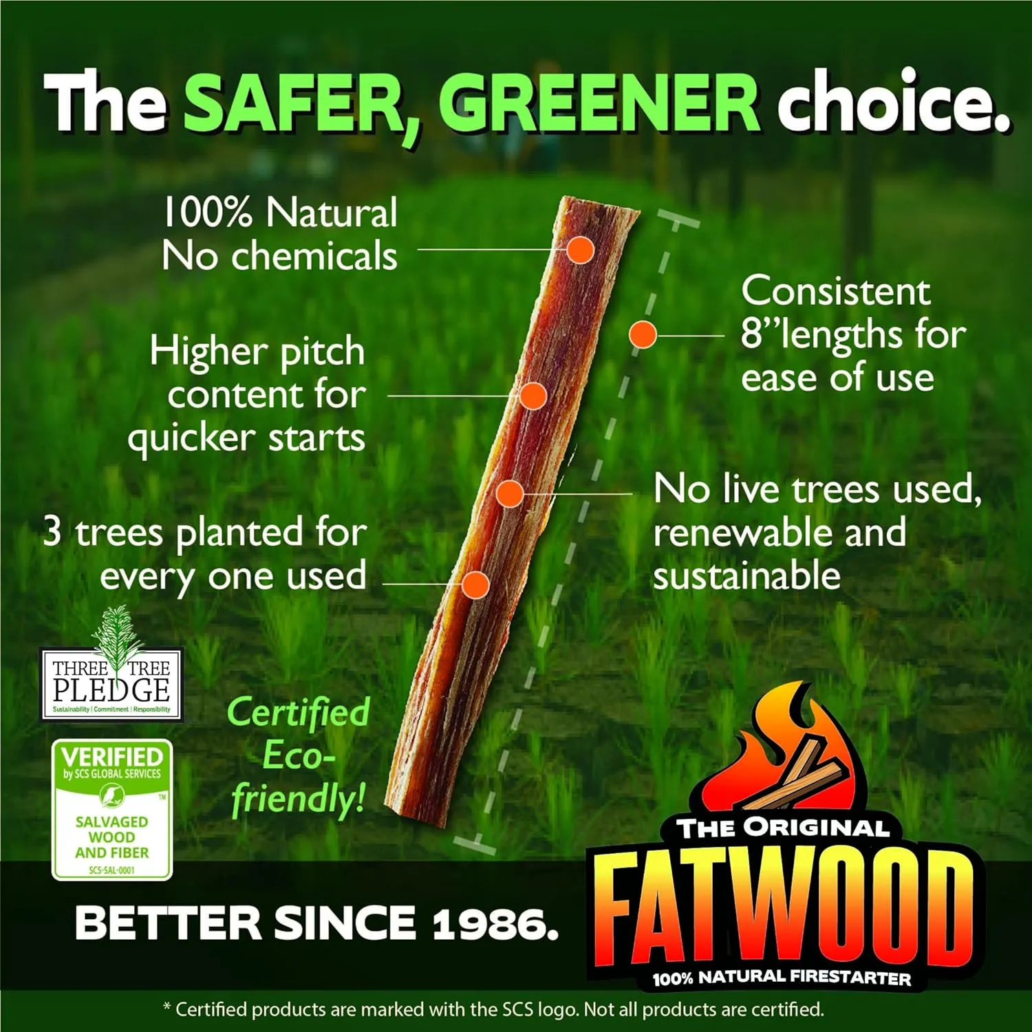 Betterwood 10 Pound Fatwood Natural Pine Firestarter 1 Pack for Campfire, BBQ, or Pellet Stove, Non Toxic and Water Repellent