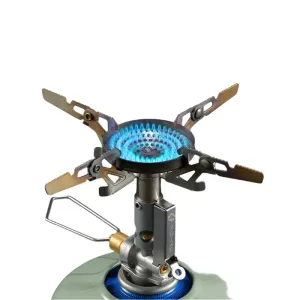 Big Flavor, Tiny Footprint: The Ultimate Mini Stove
