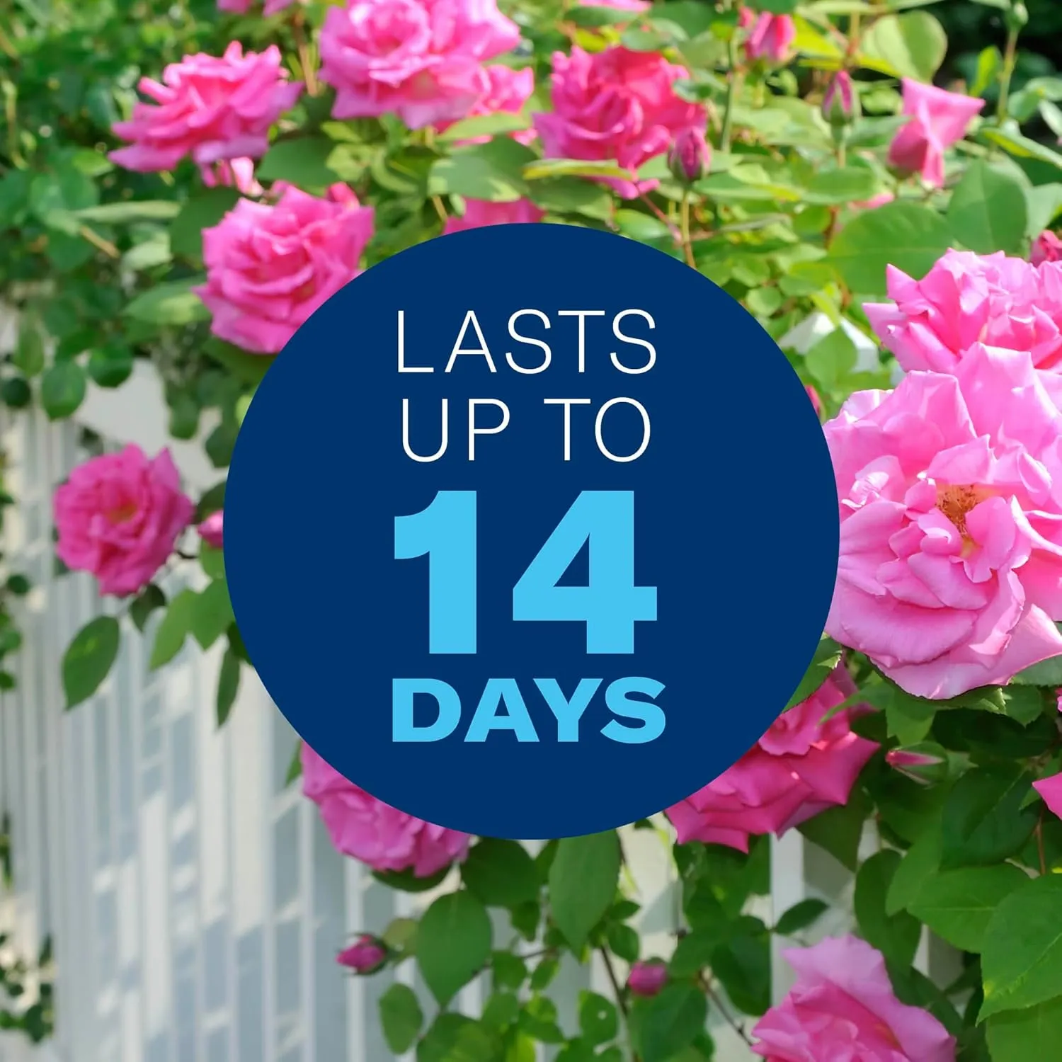 BioAdvanced All-in-One Rose & Flower Plant Care, Ready-to-Use, 1 Gal, Aphid Spray for Outdoor Plants, Fungicide for Plants