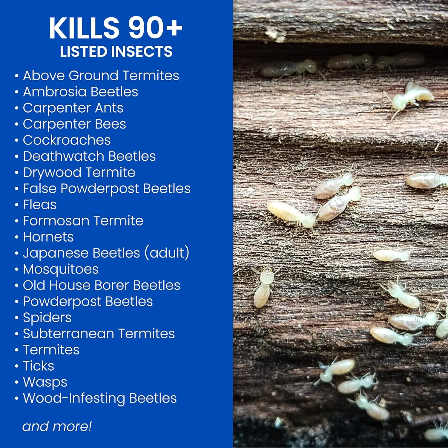 BioAdvanced Carpenter Ant & Termite Killer Plus, Concentrate, 1 Gal