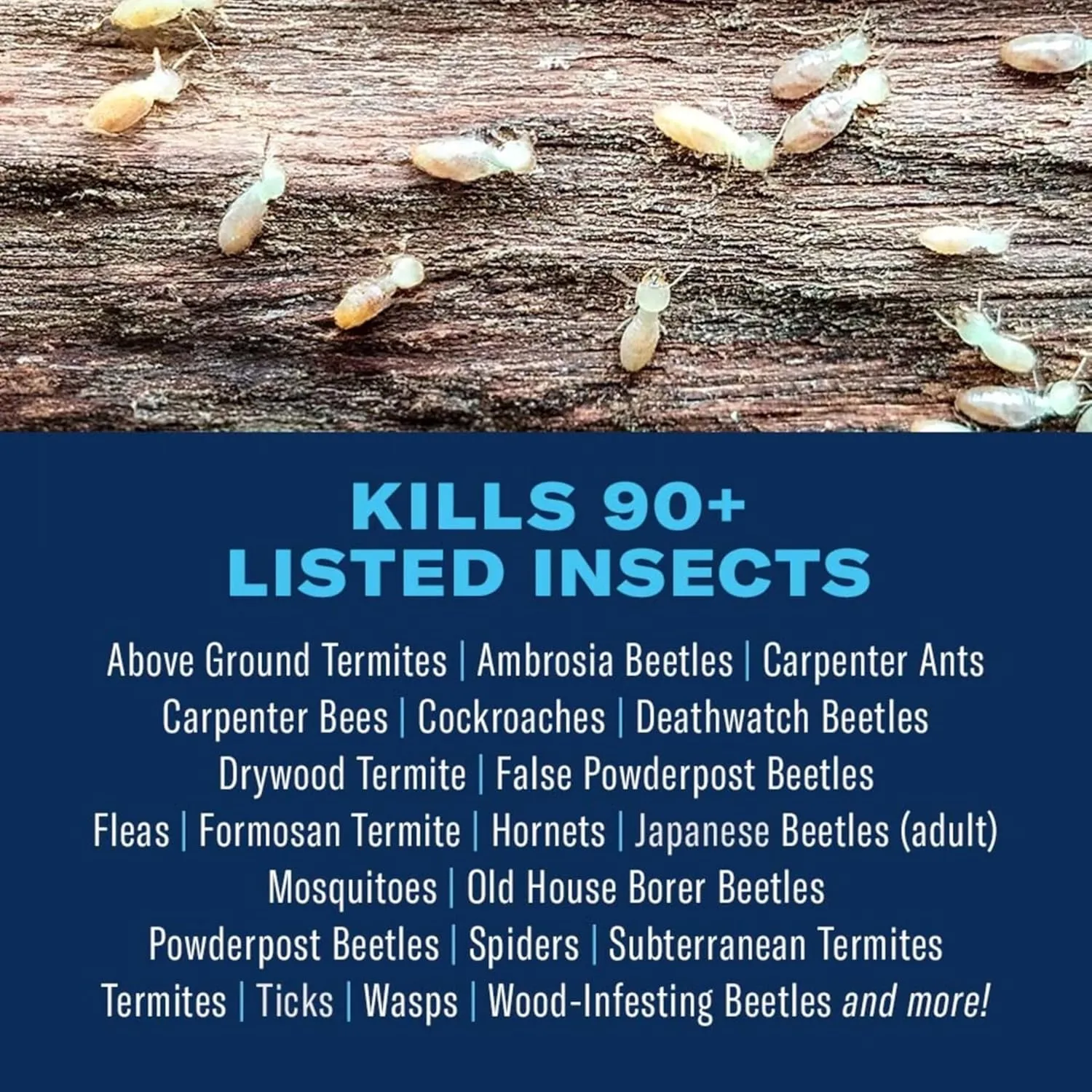 BioAdvanced Carpenter Ant & Termite Killer Plus, Concentrate, 40 oz