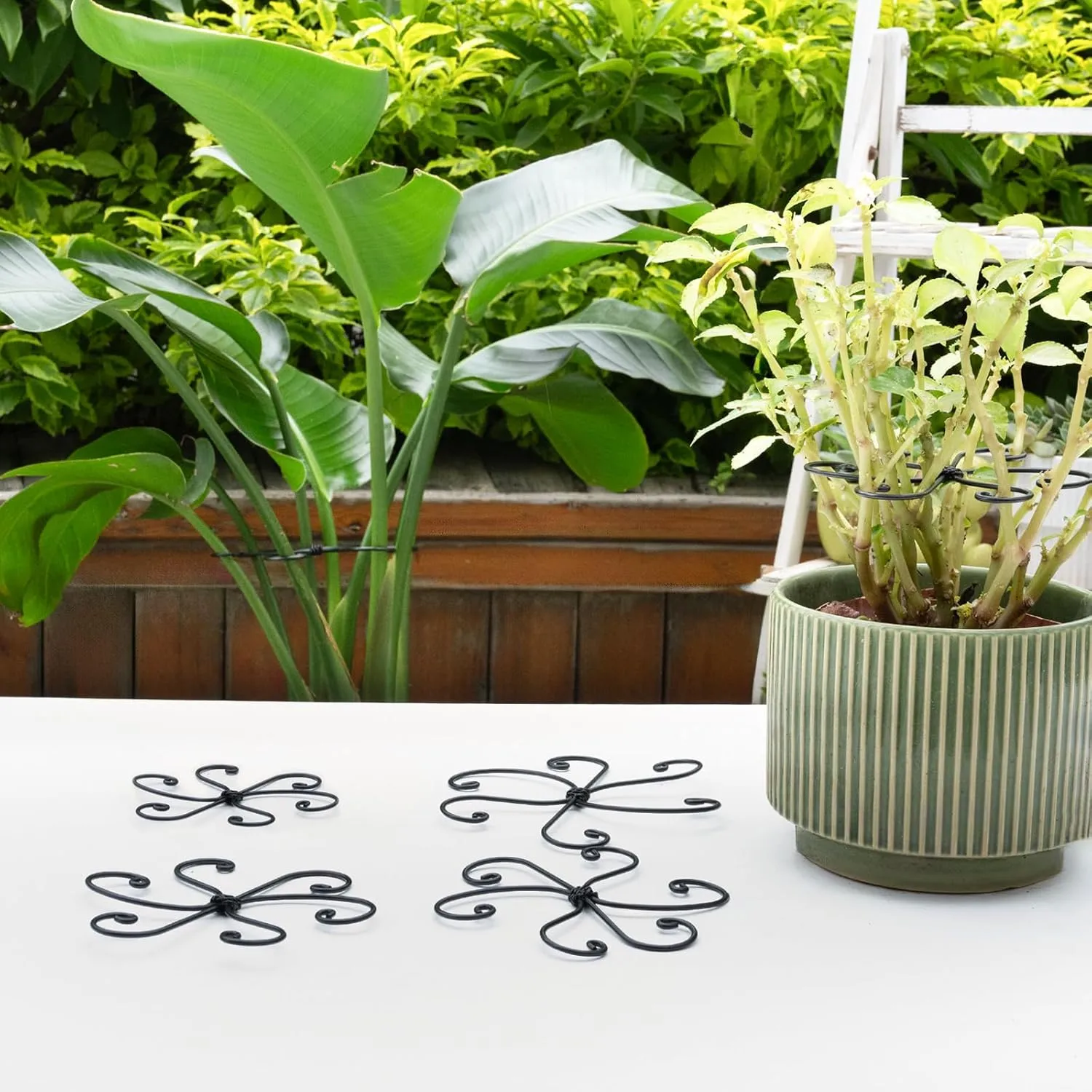 Black Monstera Plant Support 5.5*5.5IN -Premium Stem Support System for Indoor Plants, Durable Stabilizer for Monstera and Climbing Plants, Easy Installation Leaf Holder, Fishbone Cactus Stake