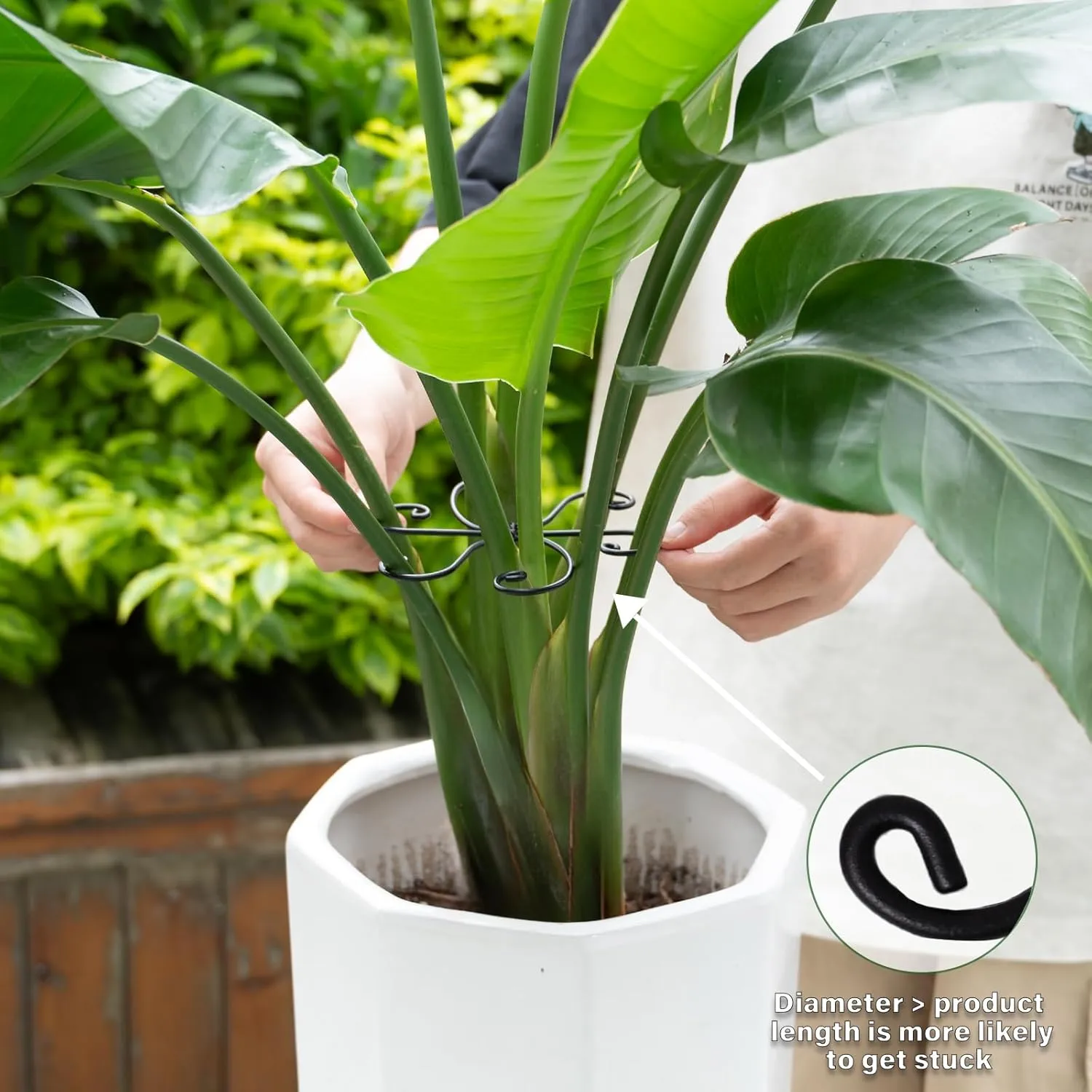 Black Monstera Plant Support 5.5*5.5IN -Premium Stem Support System for Indoor Plants, Durable Stabilizer for Monstera and Climbing Plants, Easy Installation Leaf Holder, Fishbone Cactus Stake