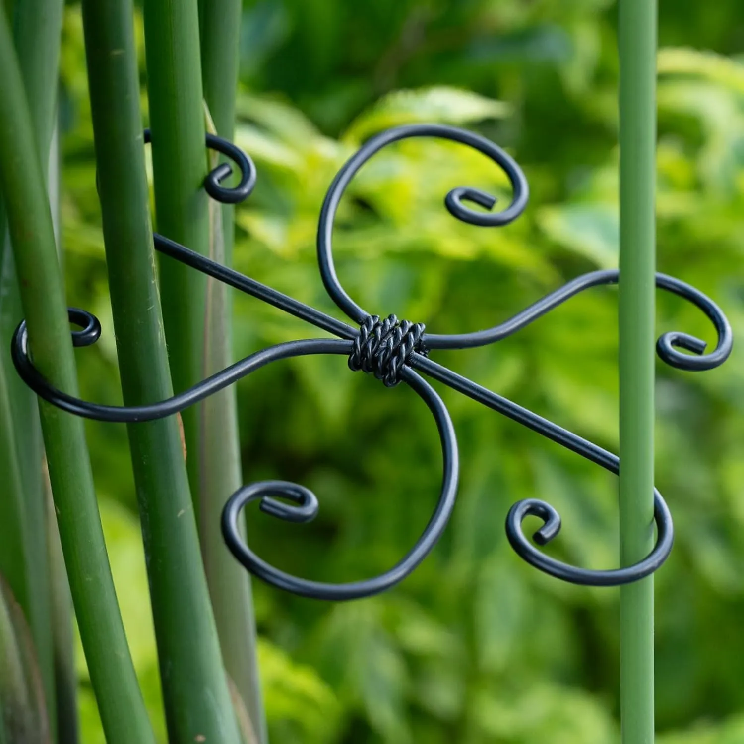 Black Monstera Plant Support 5.5*5.5IN -Premium Stem Support System for Indoor Plants, Durable Stabilizer for Monstera and Climbing Plants, Easy Installation Leaf Holder, Fishbone Cactus Stake