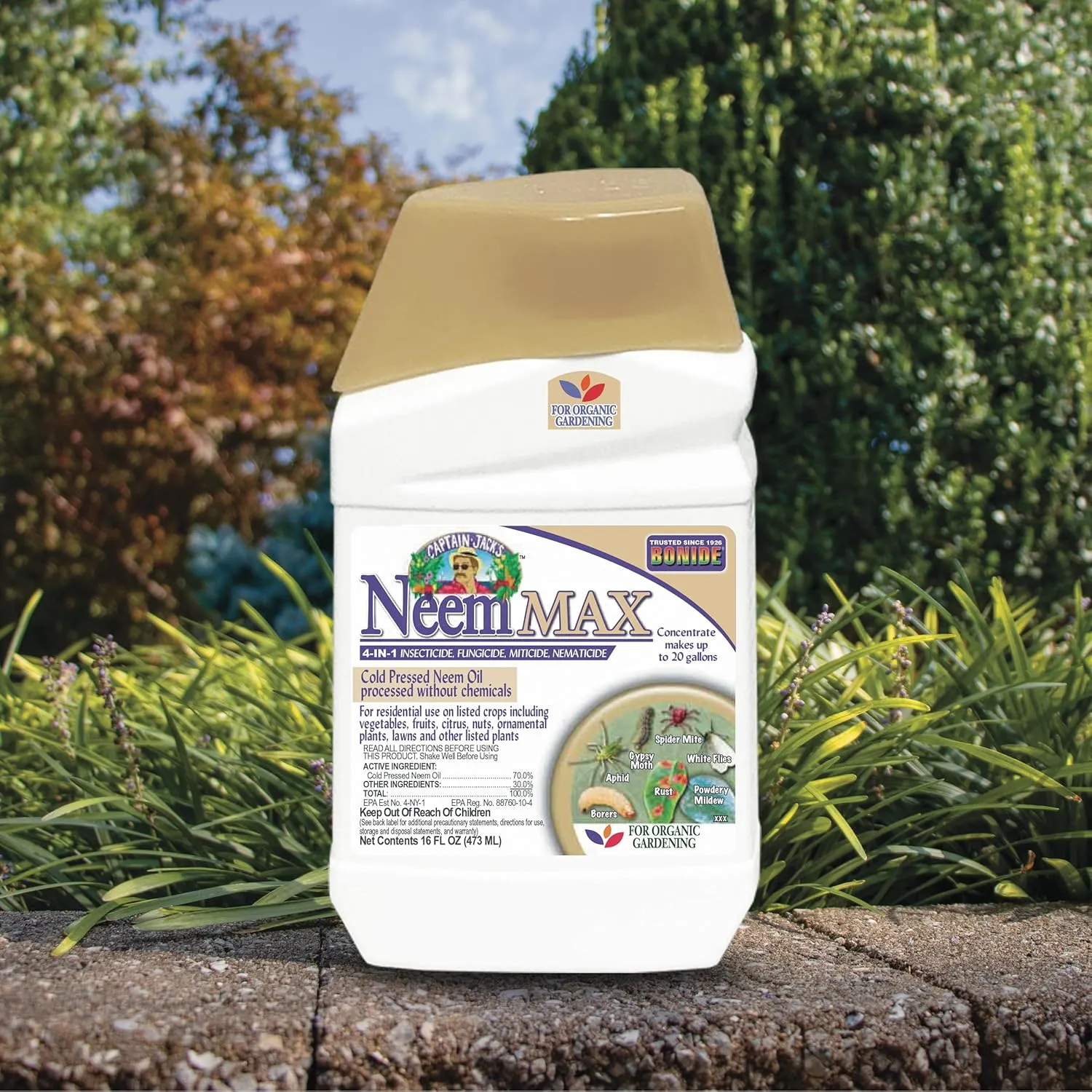 Bonide Captain Jack's Neem Max, 16 oz Concentrated Cold Pressed Neem Oil, Multi-Purpose Insecticide, Fungicide, Miticide, and Nematicide for Organic Gardening