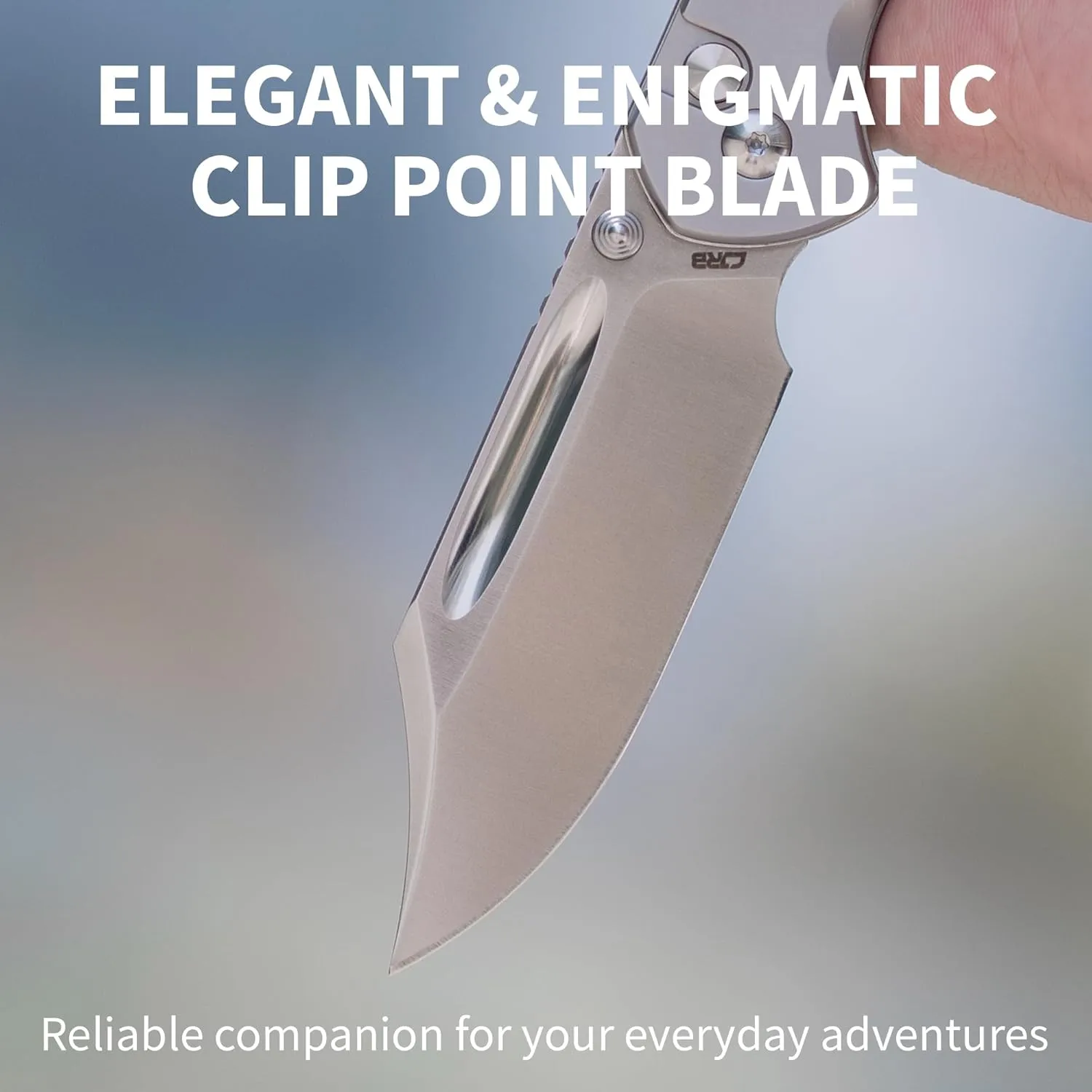 CJRB Bowie Pyrite Pocket Knife, Folding Knife with 3.15'' AR-RPM9 Steel Blade, Hunting Knife with Clip Steel Handle for EDC, Camping, Survival - Suitable for Men & Women J1942