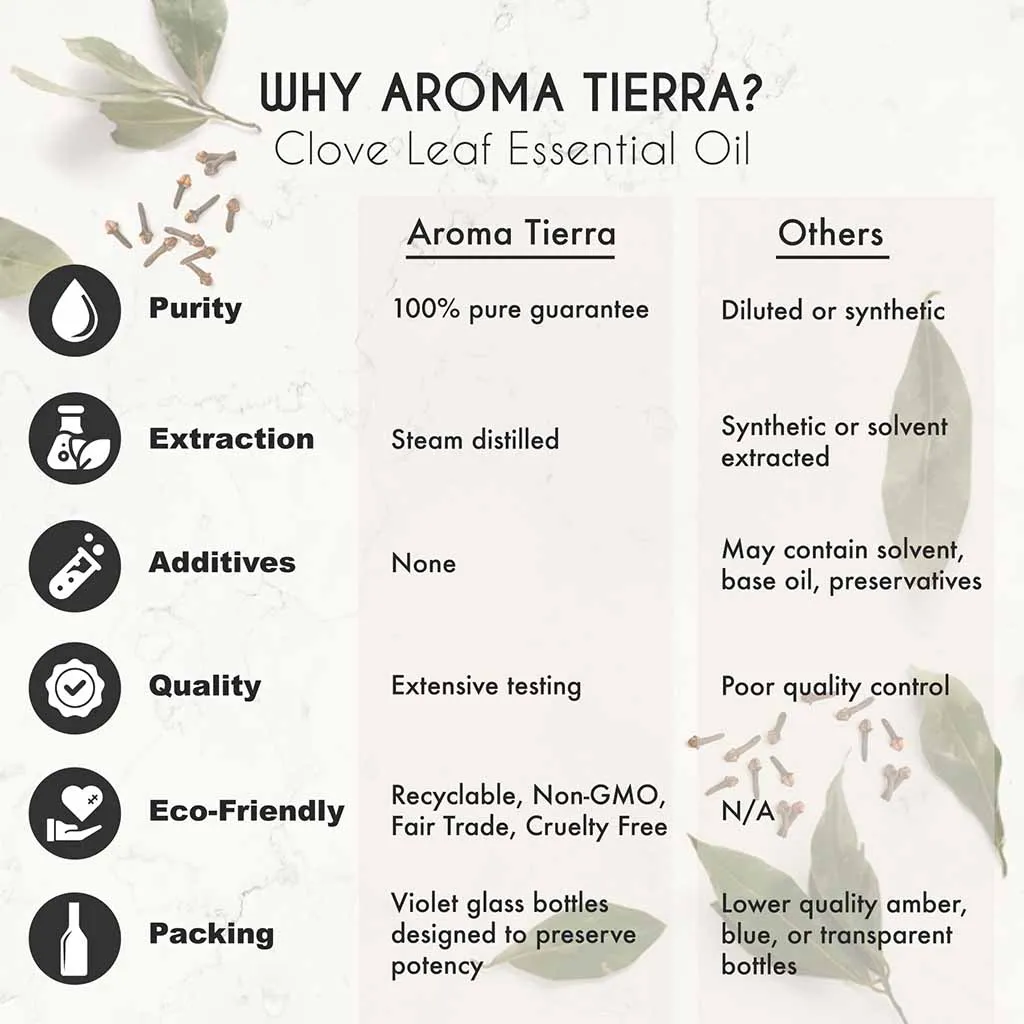 Clove Essential Oil (Clove Oil - Leaf) - 100% Pure Natural