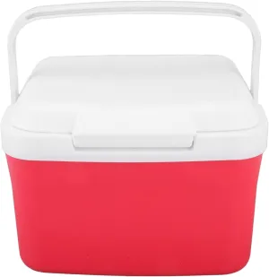 Cooler Bag, 2 in 1 Warmer 5L Personal Portable Insulated Hard Leakproof Lunch Cooler, Camping Cooler with 5 Ice Bags for Beverage, fruit, Travel, Hiking, Barbecue, Fishing, Picnic, Kayaking, Road Trip
