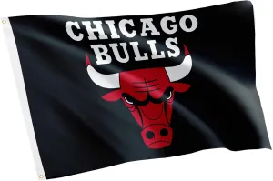 Desert Cactus Chicago Bulls CB Flag - 3 x 5 Feet Bulls Banner, Indoor/Outdoor Durable Fabric, 100% Polyester Design (Style J)