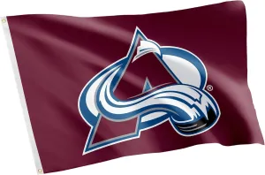 Desert Cactus Colorado Avalanche Flag NHL 100% Polyester Indoor Outdoor 3x5 feet National Hockey League Team Flags (Design #2)