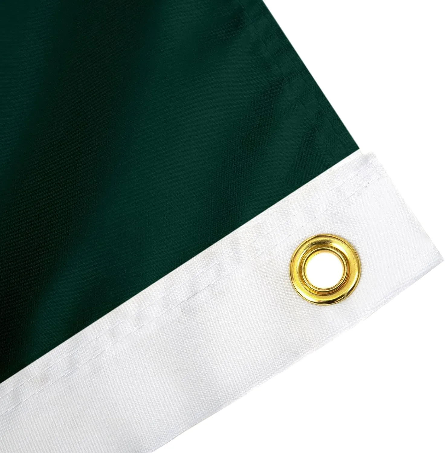 Desert Cactus Michigan State University MSU Flag - 3 x 5 Feet Spartans Banner, Indoor/Outdoor Durable Fabric, 100% Polyester Design (Style 1)