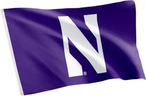 Desert Cactus Northwestern University NU Flag - 3 x 5 Feet Wildcats Banner, Indoor/Outdoor Durable Fabric, 100% Polyester Design (Style 1)