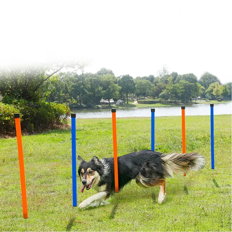 Dog Agility Training Poles - Outdoor Obstacle Jumping Poles