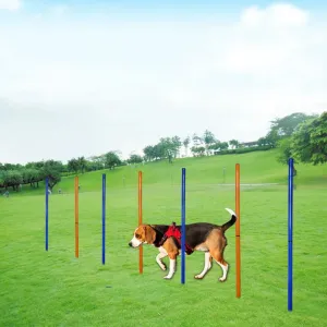 Dog Agility Training Poles - Outdoor Obstacle Jumping Poles