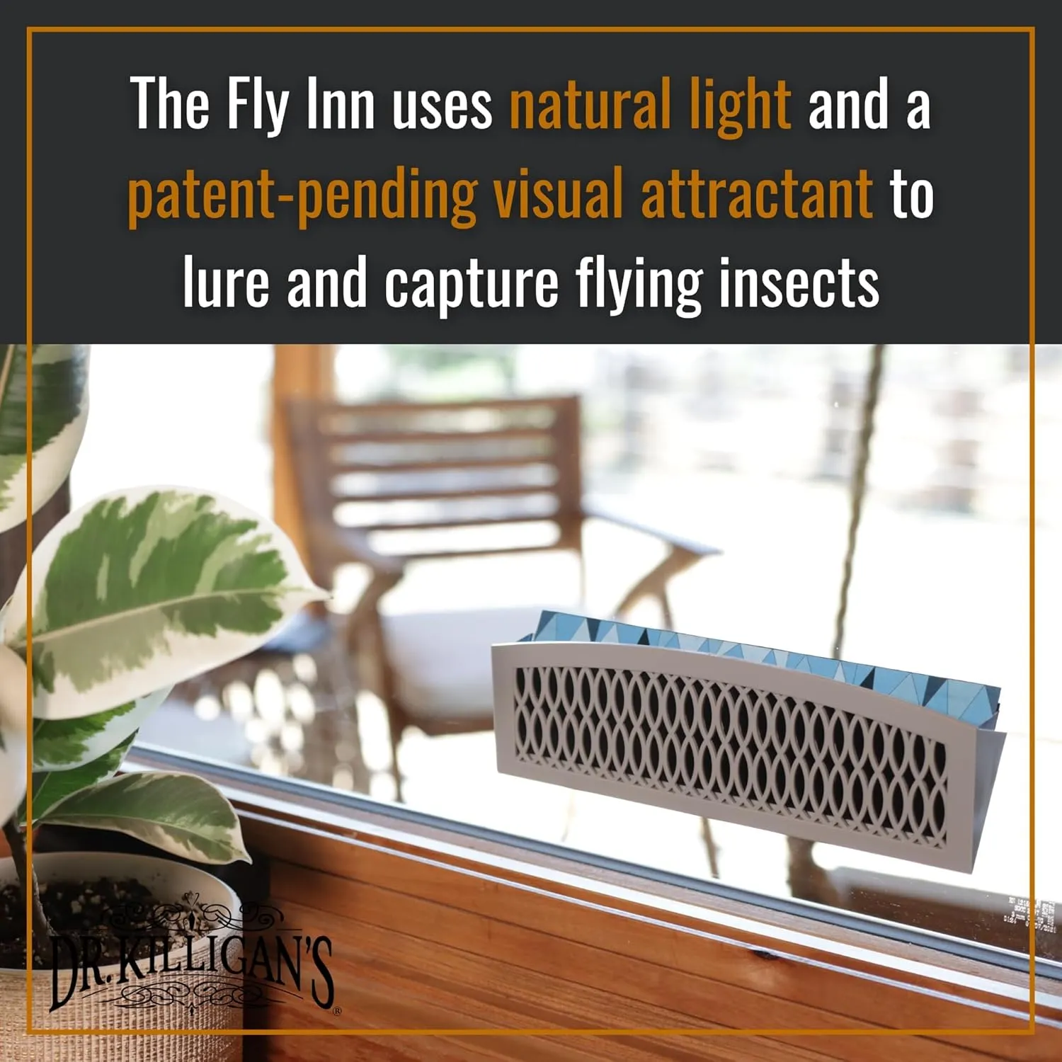 Dr. Killigan's The Fly Inn | Sticky Window Traps | Indoor Insect Trap | Catches and Hides Bugs | Better Than Fly Paper or Ribbon | Get Rid of Flies | (2 4, Gray)
