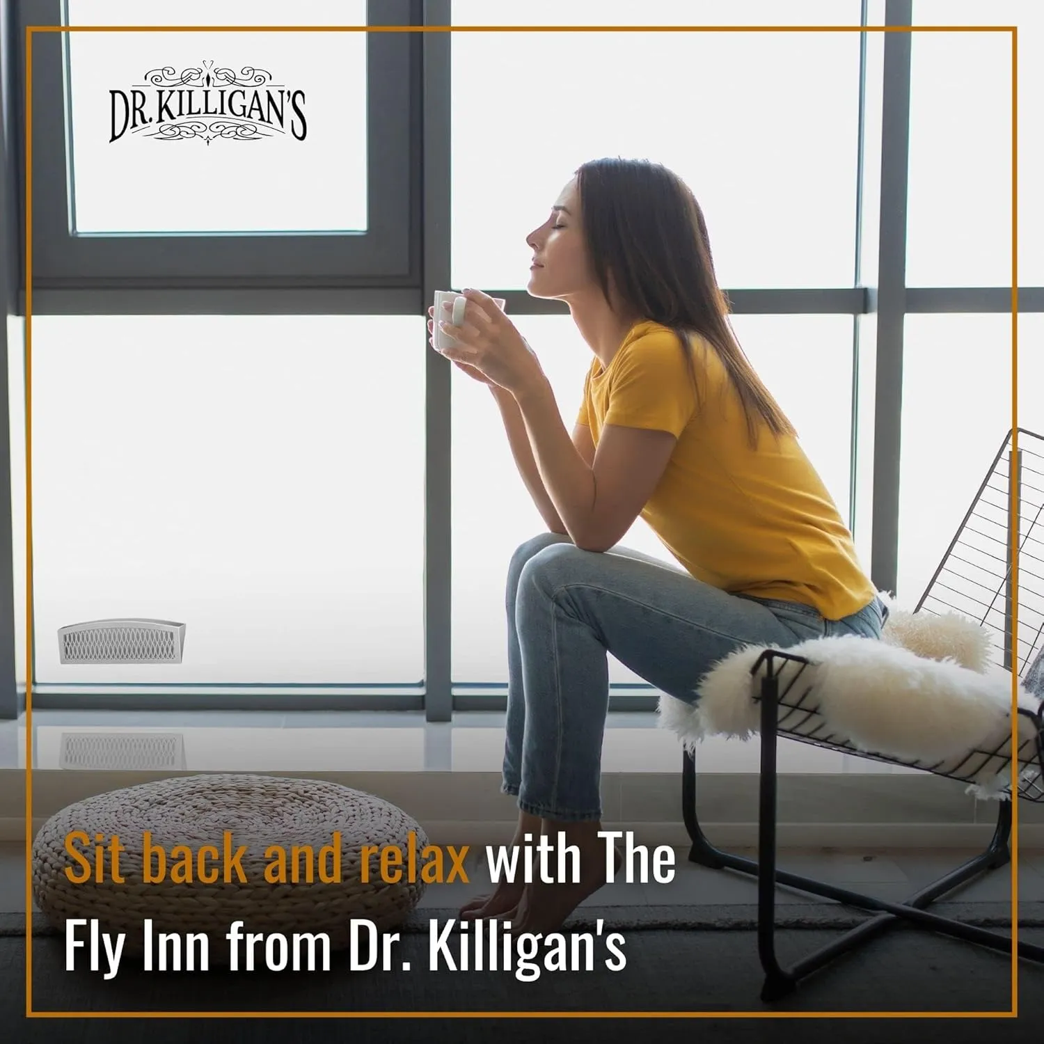 Dr. Killigan's The Fly Inn | Sticky Window Traps | Indoor Insect Trap | Catches and Hides Bugs | Better Than Fly Paper or Ribbon | Get Rid of Flies | (2 4, Gray)