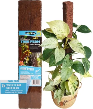 Fernwood Tree Fern Totem Board- for Orchids, Aroids, and Other Climbing Plants | Soft, Durable, Fibrous | Natural and Sustainable | 2 Pack | 19.7x2x2
