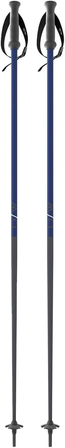 Fischer ONE Way Unisex GT 18 Alpine Skis Poles - Durable Lightweight Aluminum Easy-to-Use Outdoor Winter Sports Downhill Ski Poles with Ergonomic Grip & Adjustable Strap - Pair