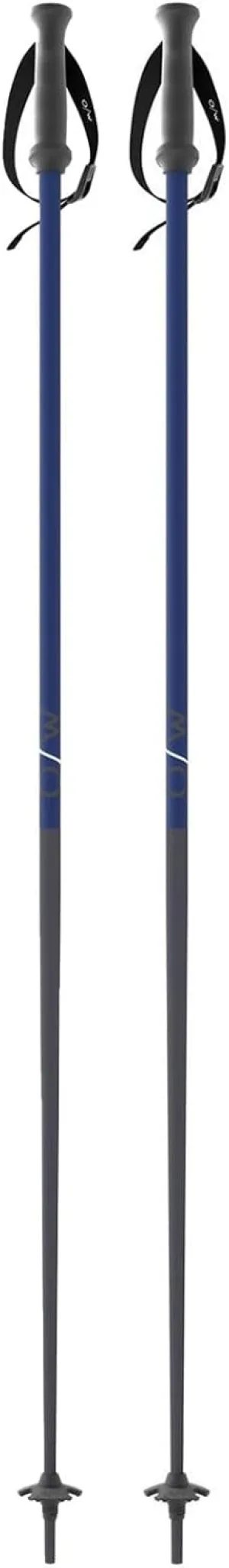 Fischer ONE Way Unisex GT 18 Alpine Skis Poles - Durable Lightweight Aluminum Easy-to-Use Outdoor Winter Sports Downhill Ski Poles with Ergonomic Grip & Adjustable Strap - Pair