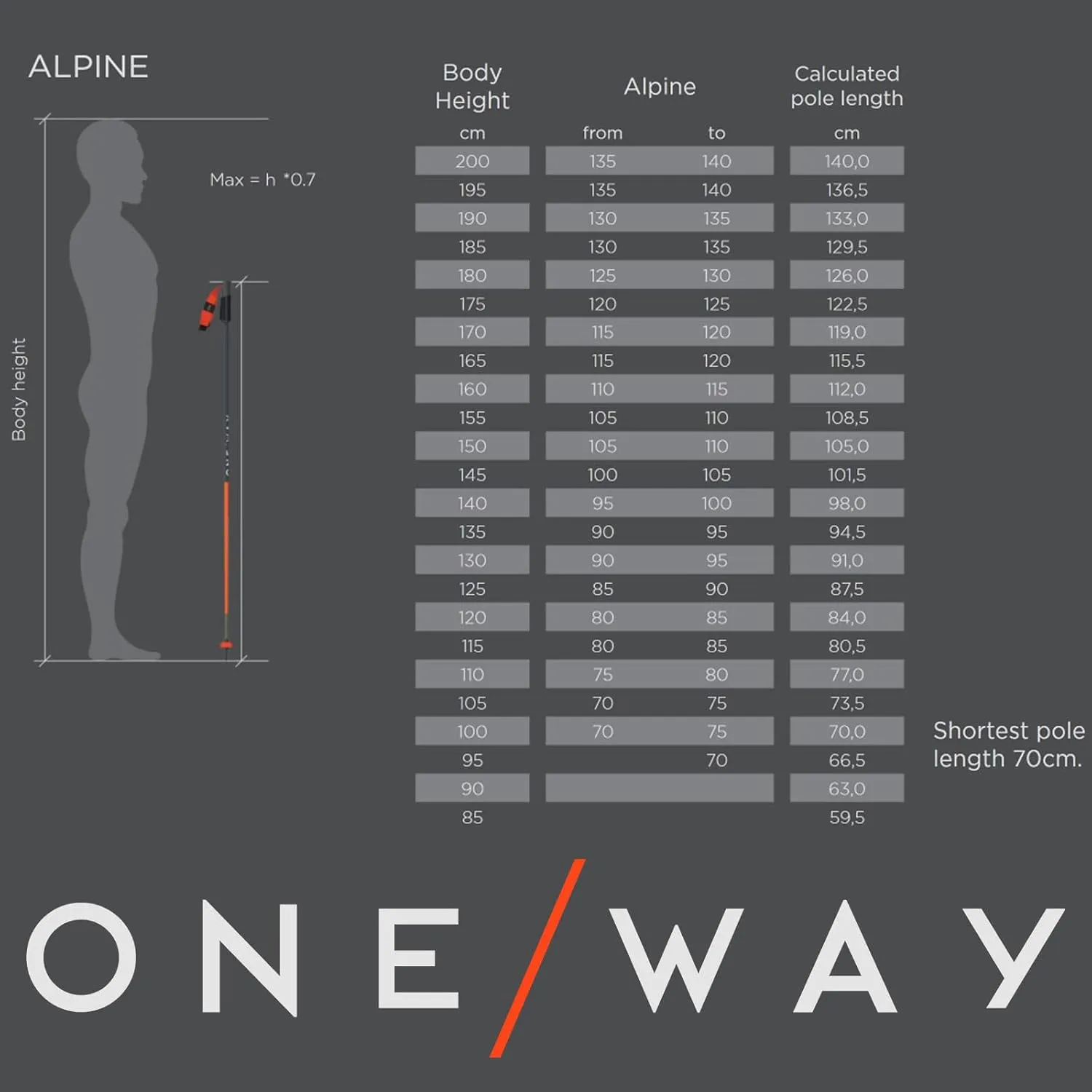 Fischer ONE Way Unisex GT 18 Alpine Skis Poles - Durable Lightweight Aluminum Easy-to-Use Outdoor Winter Sports Downhill Ski Poles with Ergonomic Grip & Adjustable Strap - Pair