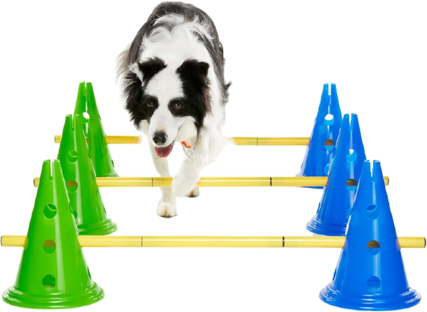 FitPAWS® Dog Agility Kit: Portable Canine Cavaletti Set – Carry Bag Included | Adjustable Hurdles, Weave Poles and Training Cones | Indoor & Outdoor Dog Training Equipment