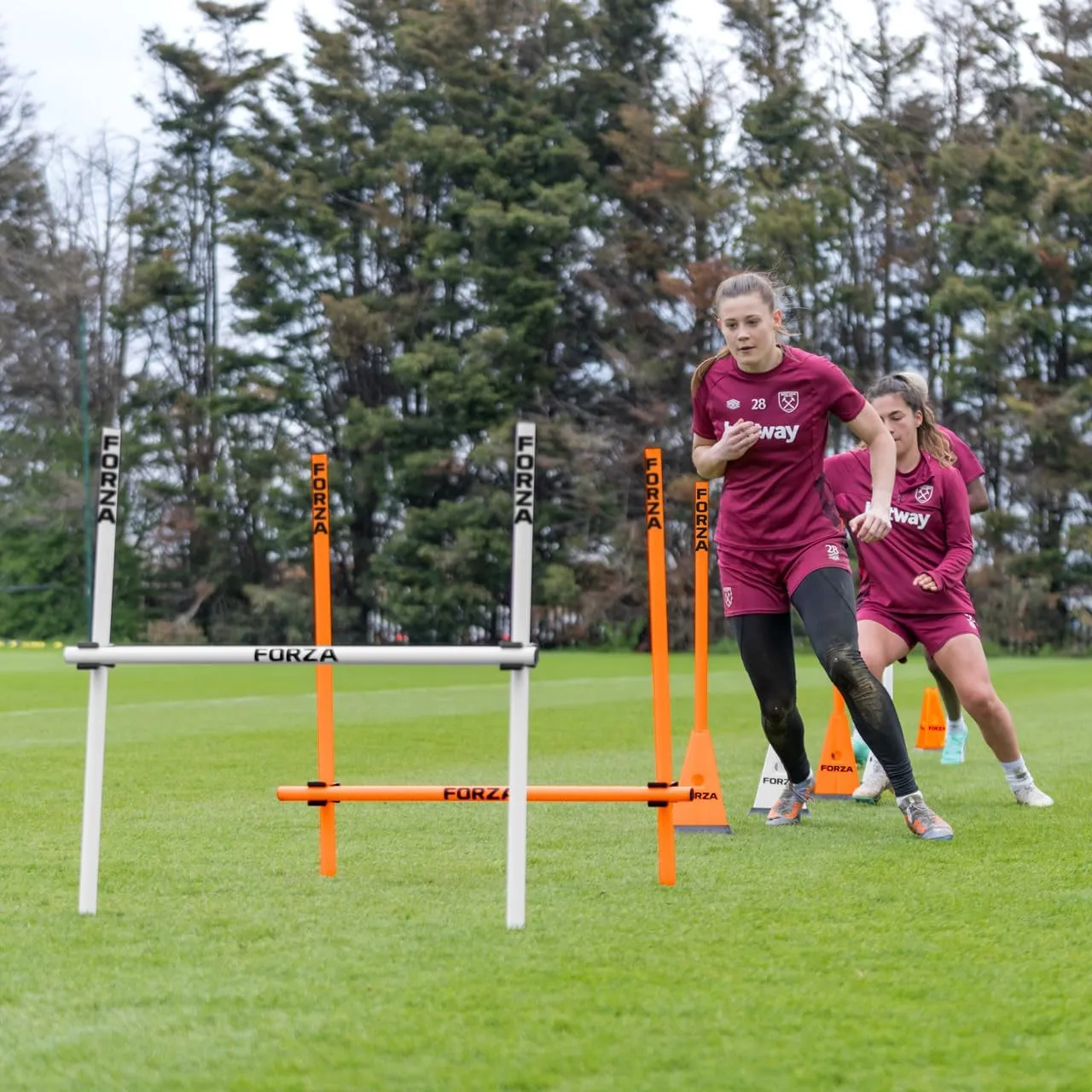 FORZA Agility Poles & Clips | Create Your Own Hurdles - 8 Color Options