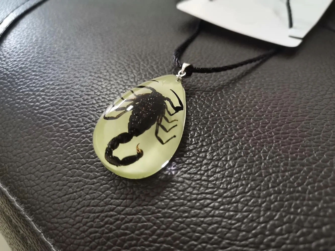 Glow in the Dark Necklace Black Scorpion Amber Resin Adjustable Necklace Pendent with Insect Sample Inside Birthday Gift for Lover Friends