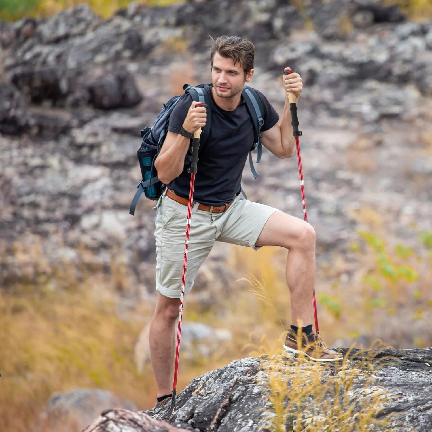 Hiking Collapsible High-quality Low-priced Poles 2-Pack