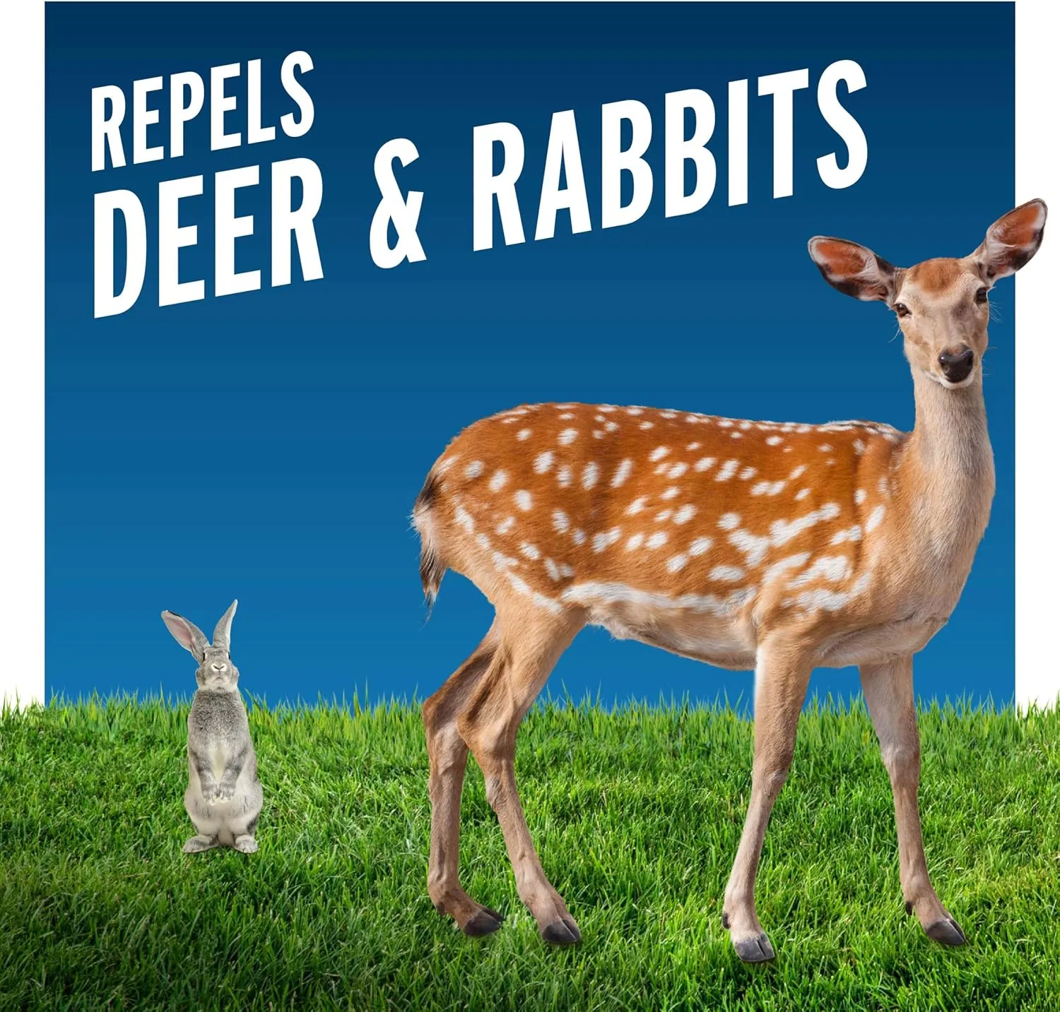 Liquid Fence Deer & Rabbit Repellent Granular, White, 5LB