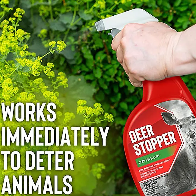 Messinas Deer Stopper Deer Repellent w/Trigger, 2 Pack
