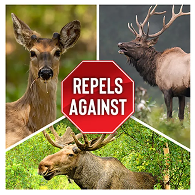 Messinas Deer Stopper Deer Repellent w/Trigger, 2 Pack