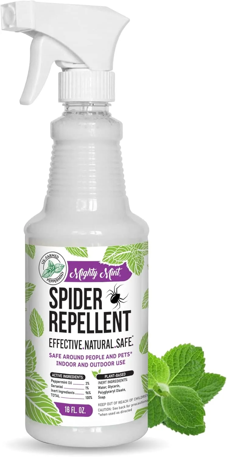 Mighty Mint - 16oz Spider Repellent Peppermint Oil - Natural Spray for Spiders and Insects - Killer   Deterrent