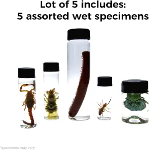 Mixed lot of Assorted specimens in vials Wet specimens (5)