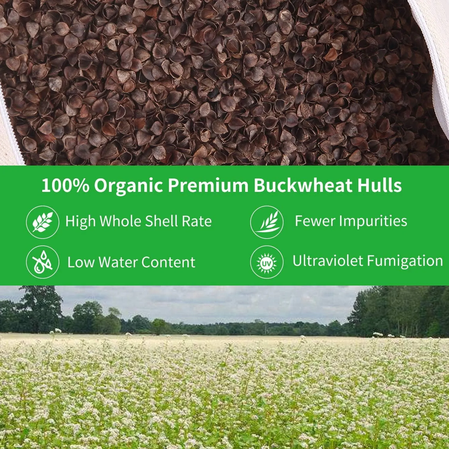 Organic Buckwheat Pillow for Sleeping, 100% Natural Premium buckwheat Hulls, Organic Cotton Cover for Cool Sleep, Neck Support for Back and Side Sleepers, Buckwheat Refill-Standard Size (20" x 26")