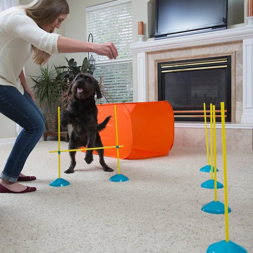 Outward Hound Zip & Zoom Indoor Dog Agility Training Kit for Dogs